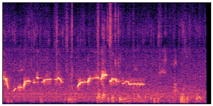 spectrogram