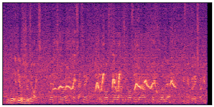 spectrogram