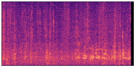 spectrogram