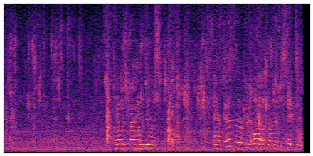 spectrogram
