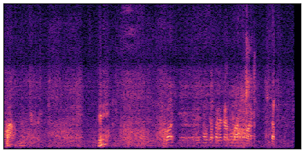 spectrogram