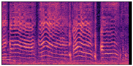 spectrogram