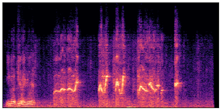 spectrogram