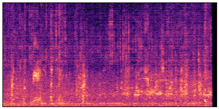 spectrogram