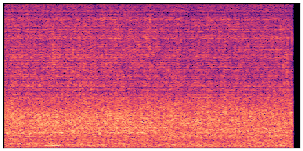 spectrogram