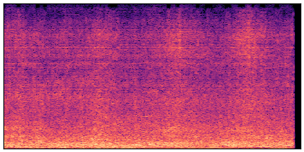 spectrogram