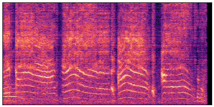 spectrogram