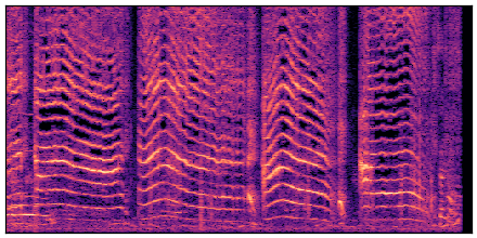 spectrogram
