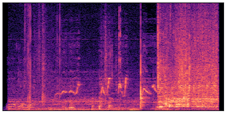 spectrogram