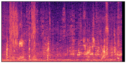 spectrogram