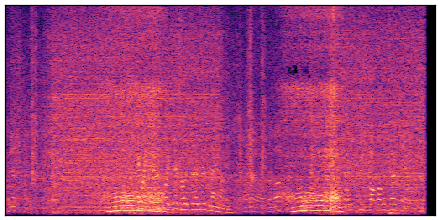 spectrogram