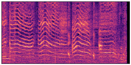 spectrogram