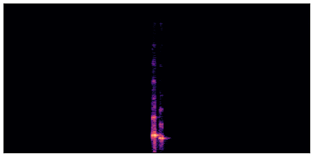 spectrogram