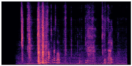 spectrogram