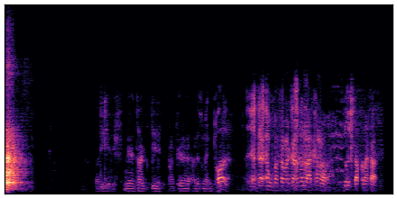 spectrogram